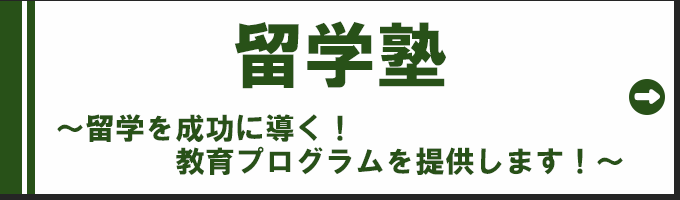 海外インターンシップ