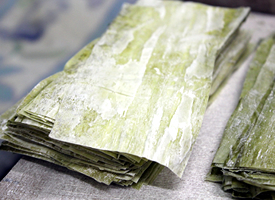 削った後の白昆布は鯖寿司に使われます