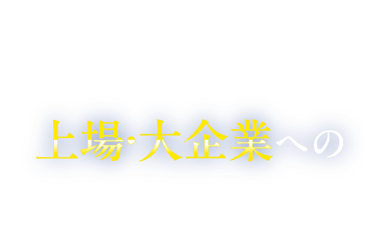 上場・大企業への