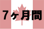 7ヵ月間