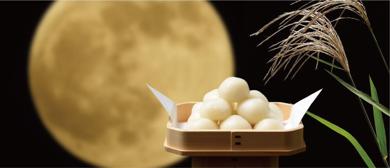 国際学部国際観光学科 画像
