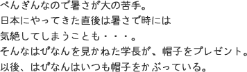 ぺんぎんなので暑さが大の苦手。日本にやってきた直後は暑さで時には気絶してしまうことも･･･。そんなはぴなんを見かねた学長が、帽子をプレゼント。以後、はぴなんはいつも帽子をかぶっている。