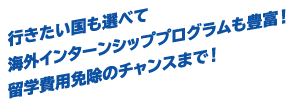 行きたい国も選べて海外インターンシッププログラムも豊富！留学費用免除のチャンスまで！