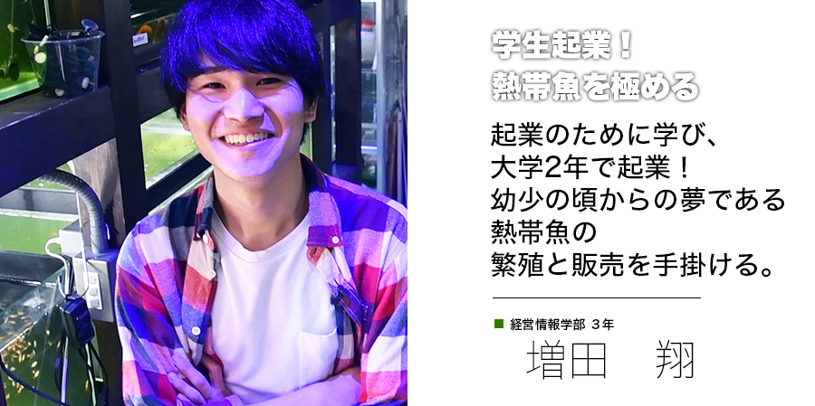 学生起業！熱帯魚を極める 起業のために学び、大学2年で起業！幼少の頃からの夢である 熱帯魚の繁殖と販売を手掛ける。 経営情報学部 3年 増田 翔